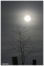 con_MG_6194-01 * 2444 x 3618 * (1.31MB)
