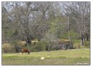 con_MG_6201-01 * 2198 x 1598 * (2.1MB)