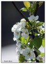 con_MG_6235-01 * 2498 x 3436 * (2.24MB)