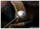 con_MG_6241-01 * 3436 x 2498 * (1.72MB)