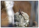 con_MG_6250-01 * 3460 x 2522 * (2.96MB)